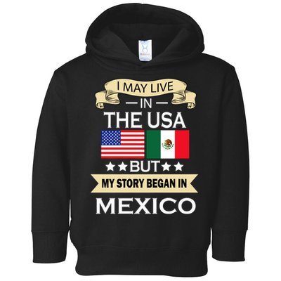 I May Live In The USA But My Story Began In Mexico Toddler Hoodie