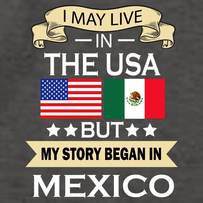 I May Live In The USA But My Story Began In Mexico Vector Backpack