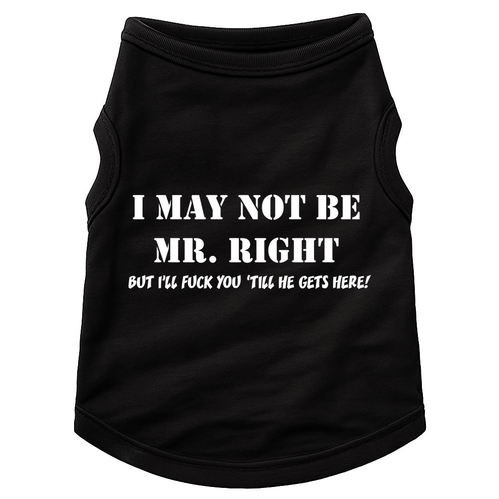 I May Not Be Mr. Right, But I'll Fuck You Until He Get's Here Doggie Tank