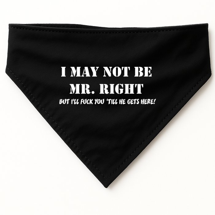 I May Not Be Mr. Right, But I'll Fuck You Until He Get's Here USA-Made Doggie Bandana