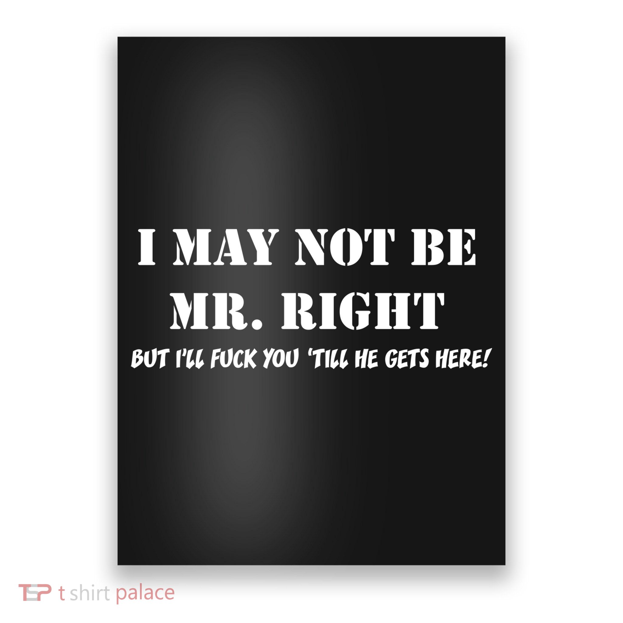 I May Not Be Mr. Right, But I'll Fuck You Until He Get's Here Poster