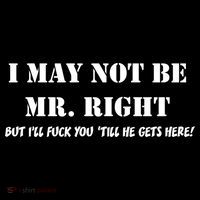 I May Not Be Mr. Right, But I'll Fuck You Until He Get's Here Poster