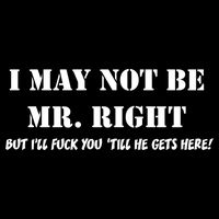 I May Not Be Mr. Right, But I'll Fuck You Until He Get's Here Baby Bodysuit