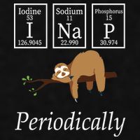 I Nap Periodically Lazy Sloths Lovers Ladies PosiCharge Tri-Blend Wicking Tank