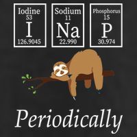 I Nap Periodically Lazy Sloths Lovers 25L Jumbo Tote