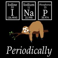 I Nap Periodically Lazy Sloths Lovers Womens T-Shirt