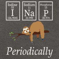 I Nap Periodically Lazy Sloths Lovers Cotton Canvas Backpack