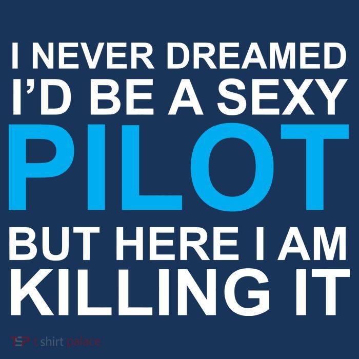I Never Dreamed I'd Be A Sexy Pilot Poster