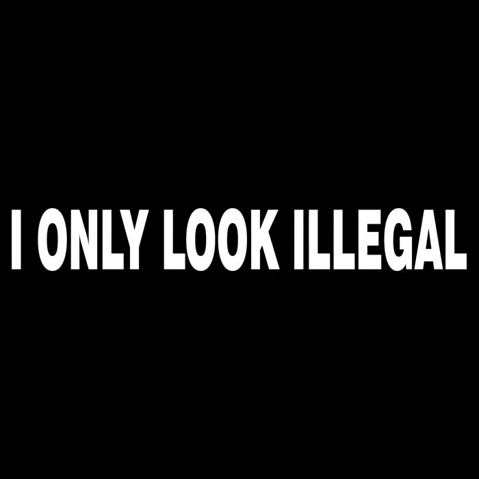I Only Look Illegal 16 in Basic Backpack