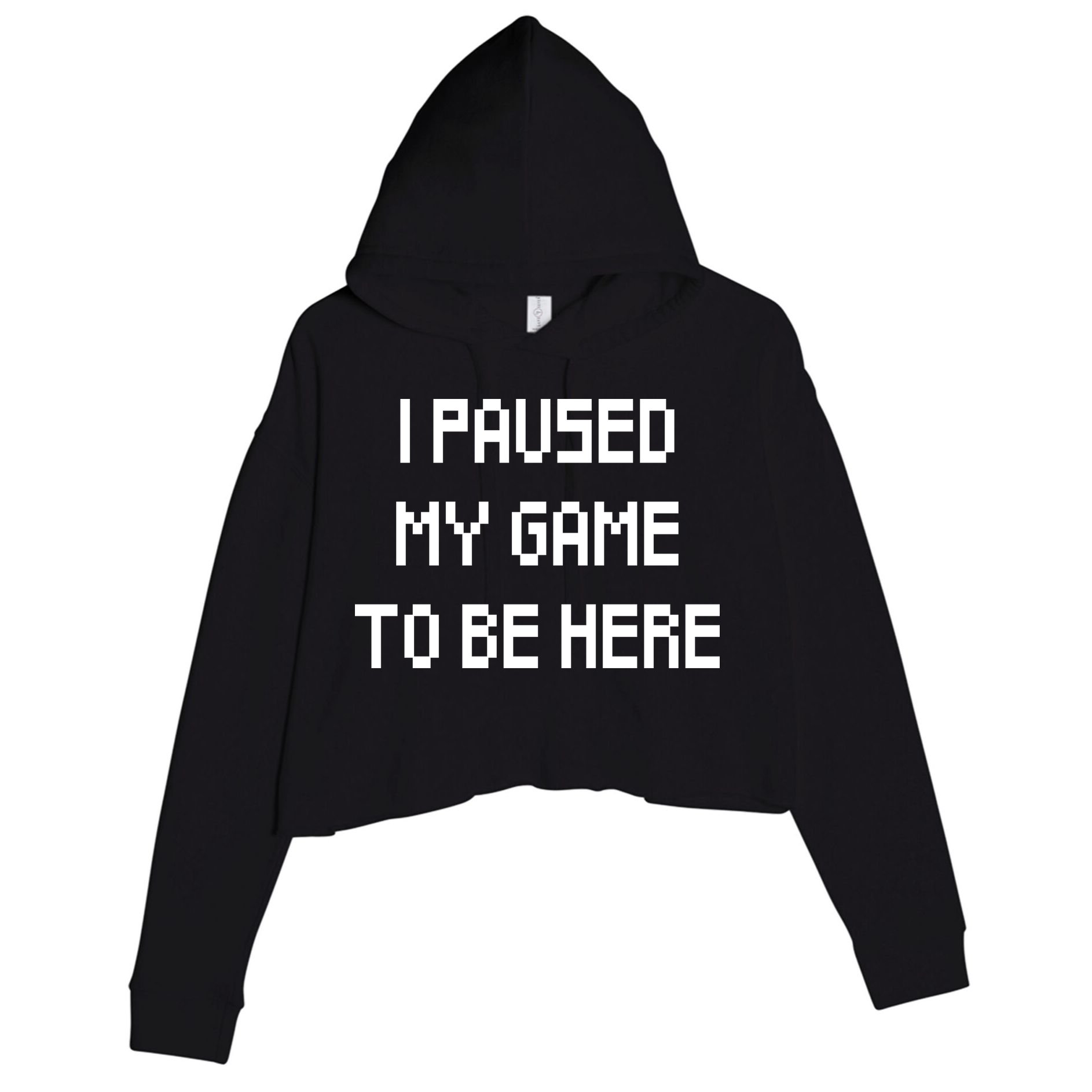 I Paused My Game To Be Here Crop Fleece Hoodie