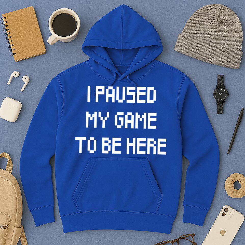 I Paused My Game To Be Here Hoodie