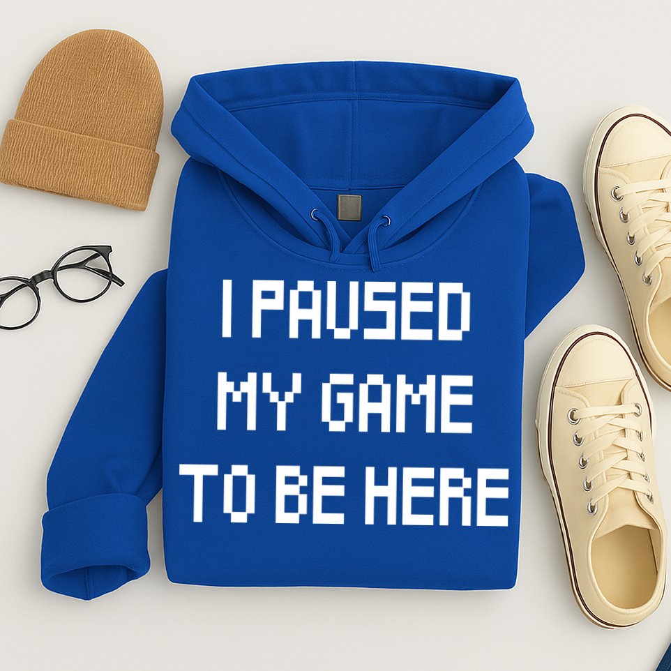 I Paused My Game To Be Here Hoodie