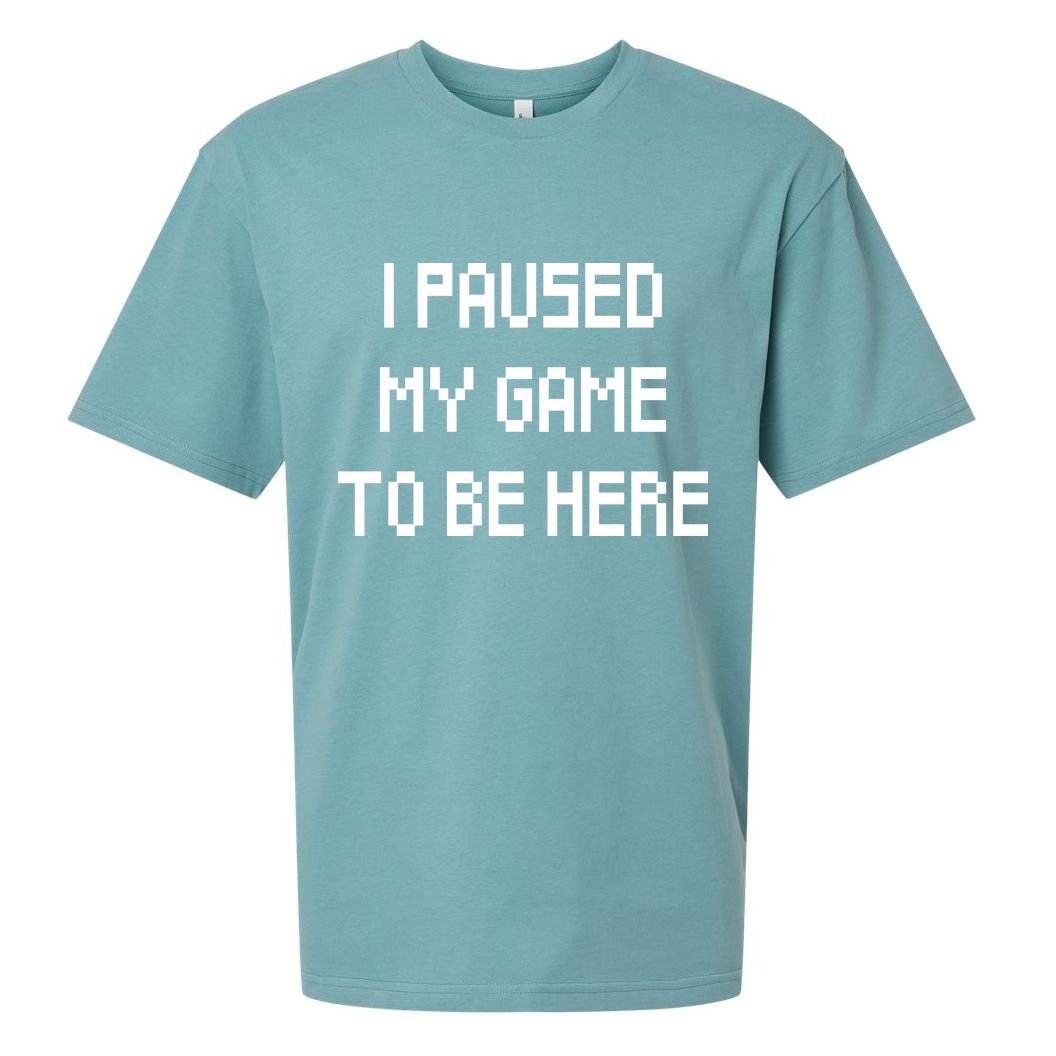 I Paused My Game To Be Here Sueded Cloud Jersey T-Shirt