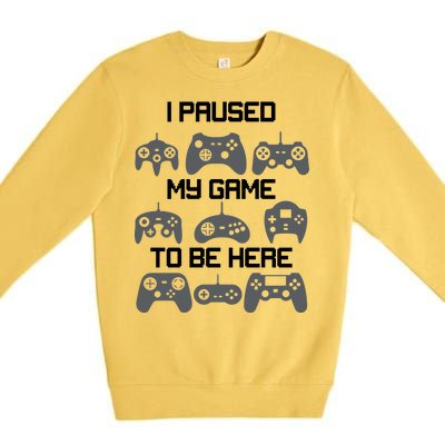 I Paused My Game To Be Here Funny Gamer Premium Crewneck Sweatshirt