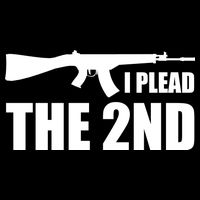 I Plead The Second Flatbill Hat