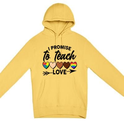 I Promise To Teach Love Diversity Equality Premium Pullover Hoodie