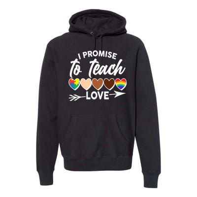 I Promise To Teach Love Diversity Equality Premium Hoodie