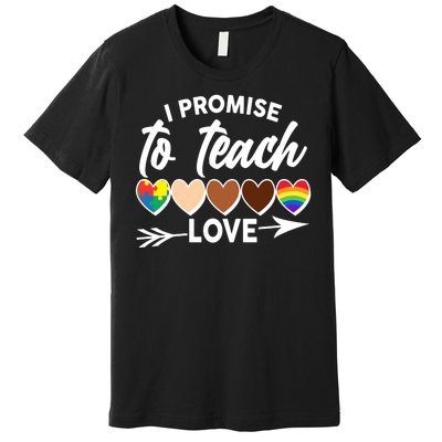 I Promise To Teach Love Diversity Equality Premium T-Shirt