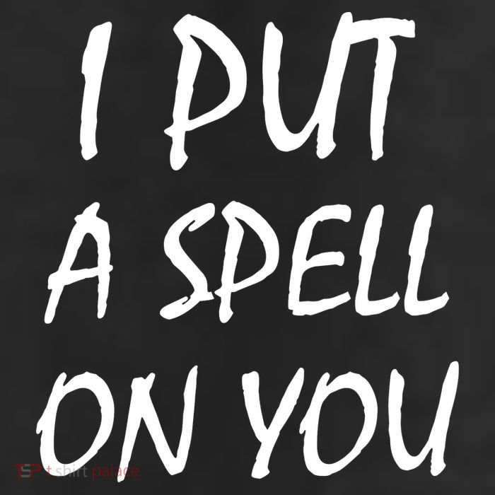 I Put A Spell On You Funny Witch 7 Panel Mesh Trucker Snapback Hat