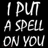 I Put A Spell On You Funny Witch Sweatshirt