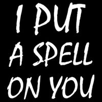 I Put A Spell On You Funny Witch T-Shirt