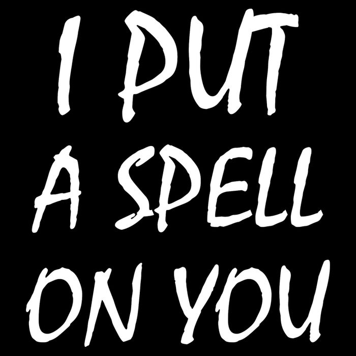 I Put A Spell On You Funny Witch T-Shirt