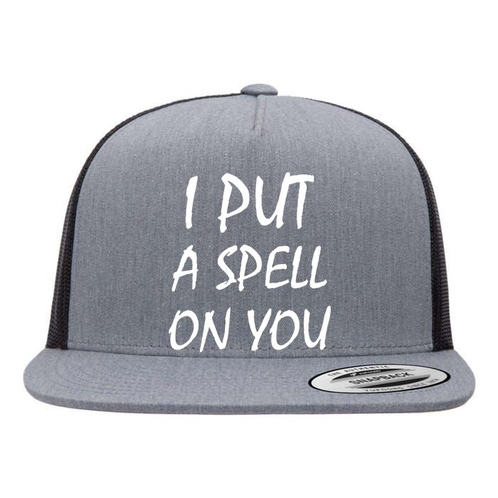 I Put A Spell On You Funny Witch Flat Bill Trucker Hat