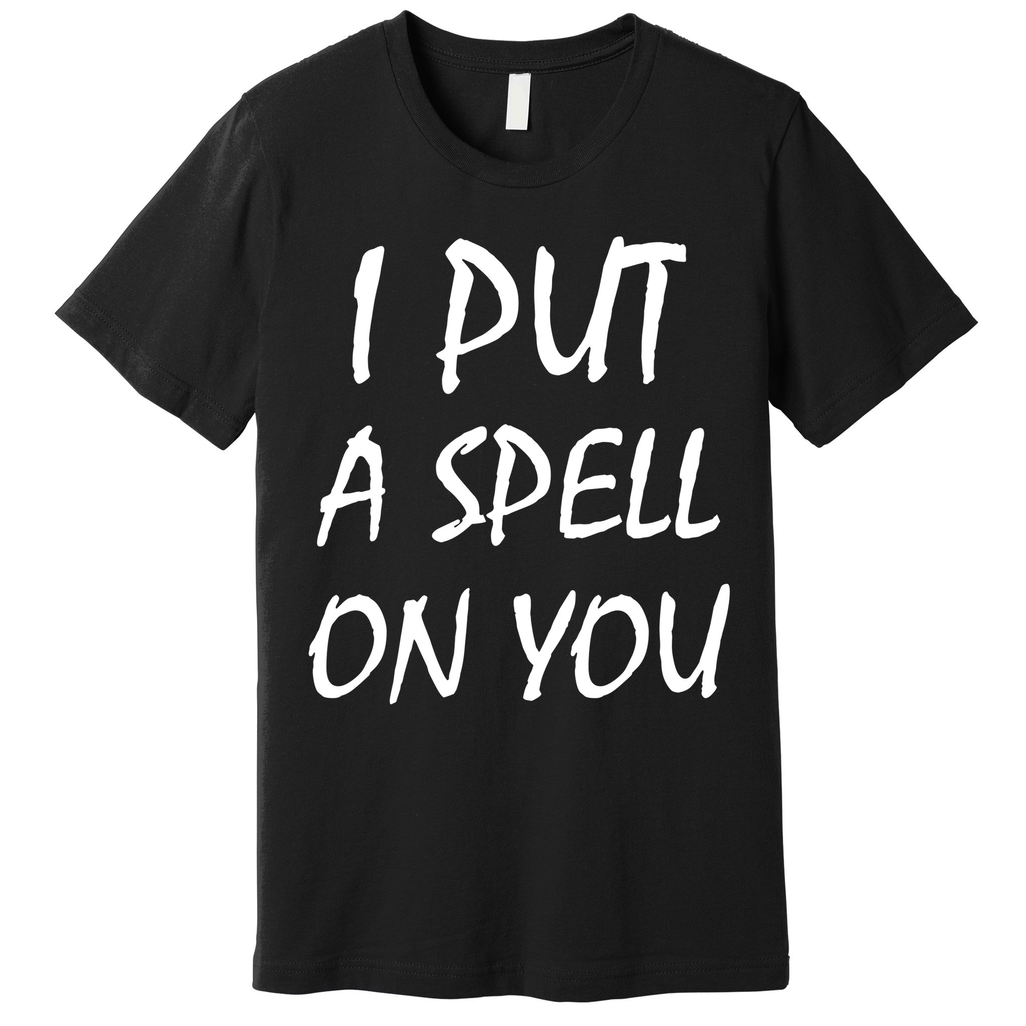 I Put A Spell On You Funny Witch Premium T-Shirt