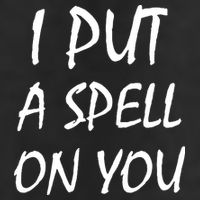 I Put A Spell On You Funny Witch Trucker Hat