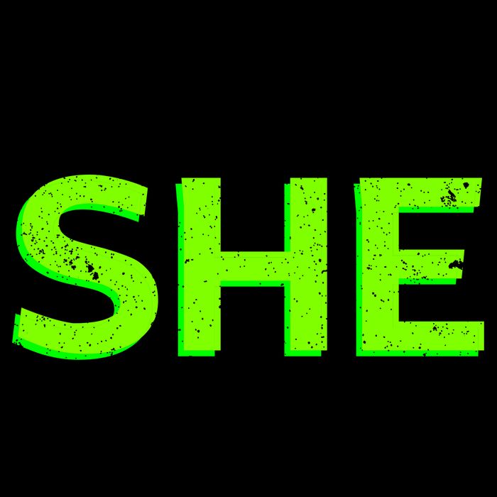 I Put The She In Shenanigans 16oz Travel Tumbler
