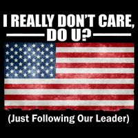 I Really Don't Care Do U Patriotic  Flexfit Unipanel Trucker Cap