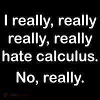 I Really Hate Calculus Flexfit Unipanel Trucker Cap