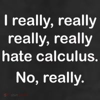 I Really Hate Calculus 11oz C Handle Ceramic Mug