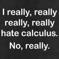 I Really Hate Calculus Microfiber Hand Towel