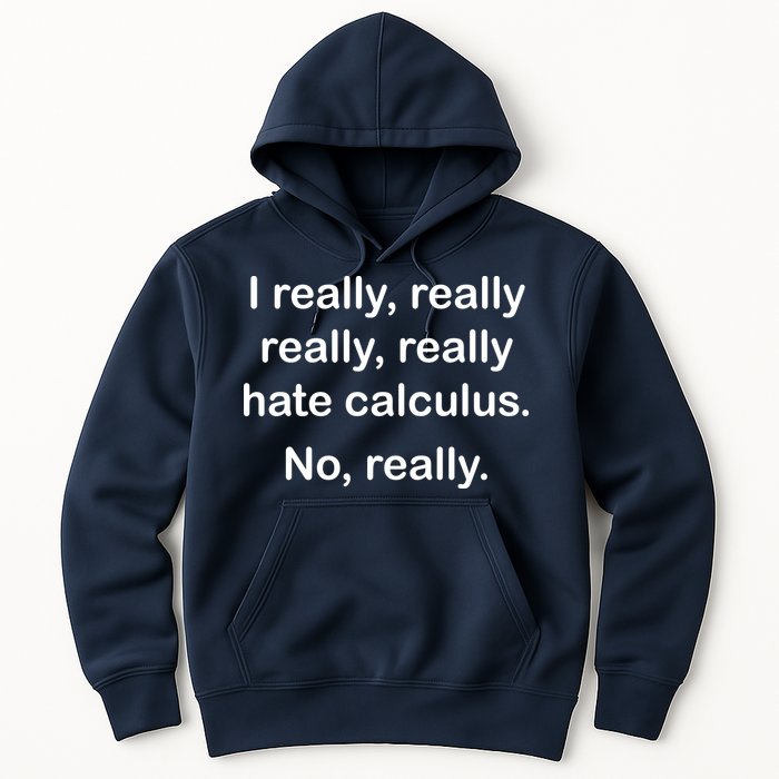 I Really Hate Calculus Hoodie
