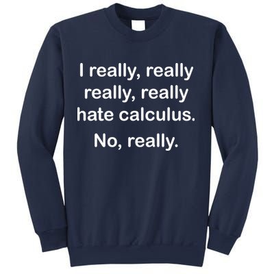 I Really Hate Calculus Sweatshirt