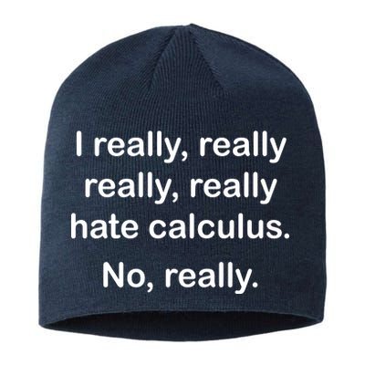 I Really Hate Calculus Sustainable Beanie