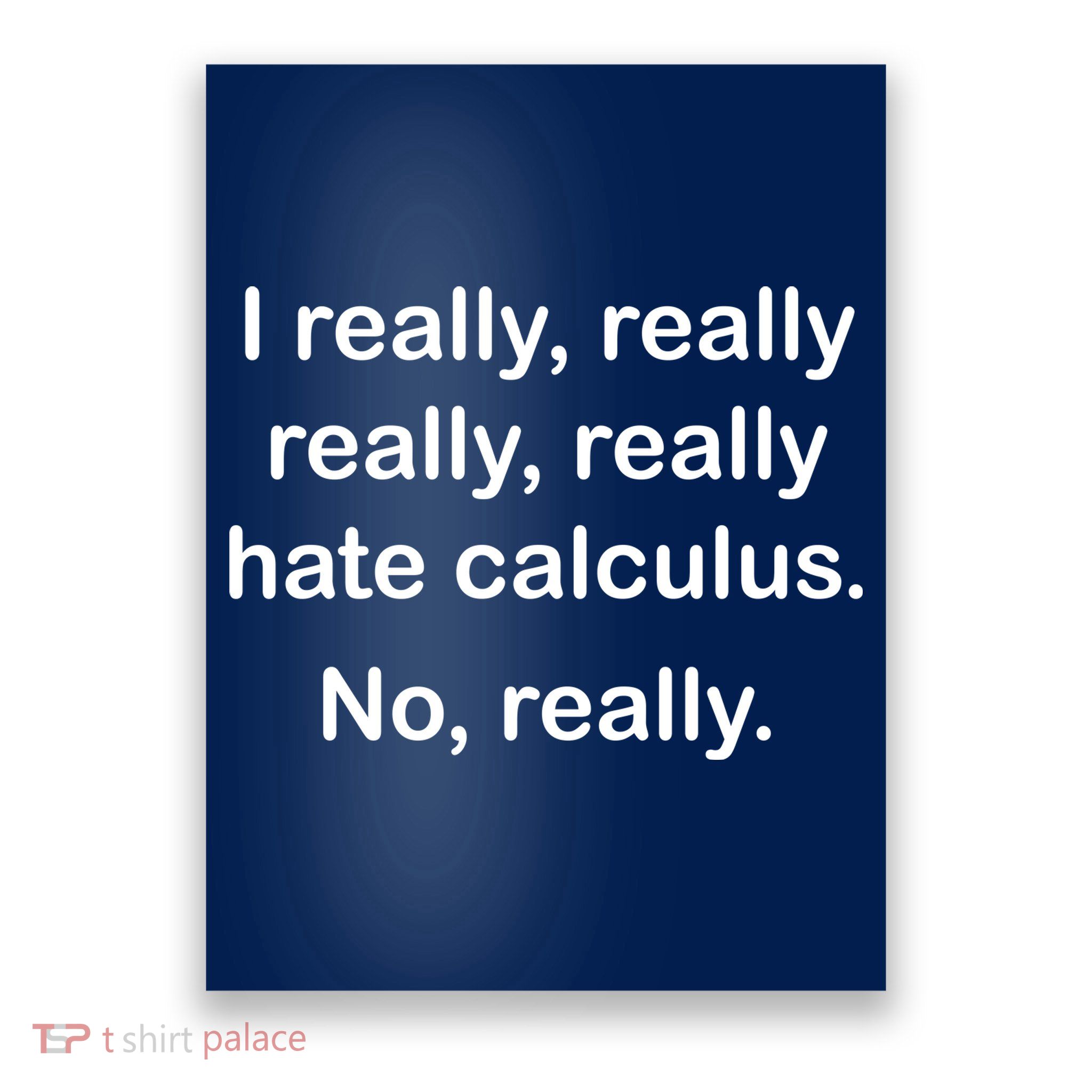 I Really Hate Calculus Poster
