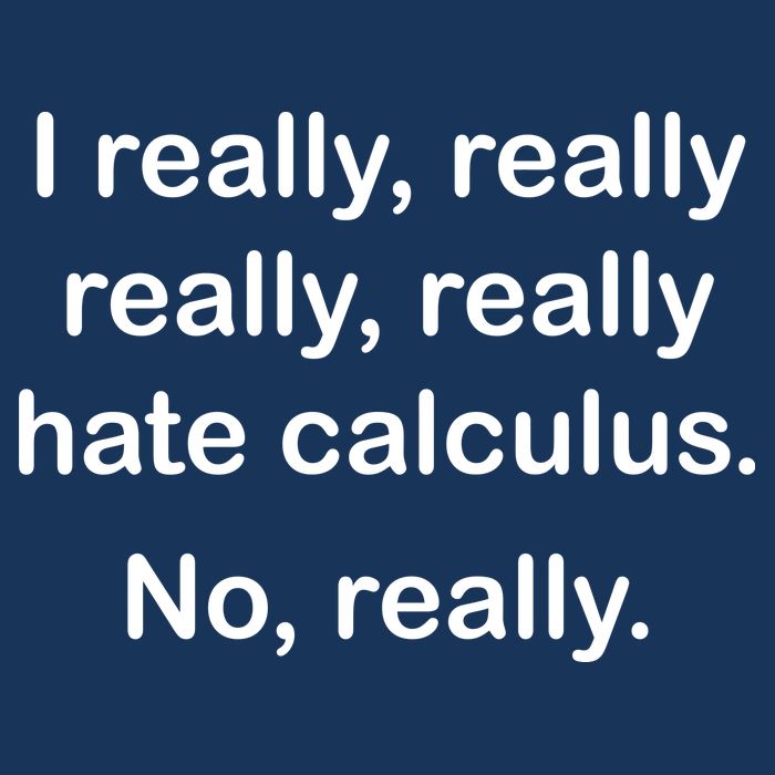 I Really Hate Calculus Premium T-Shirt
