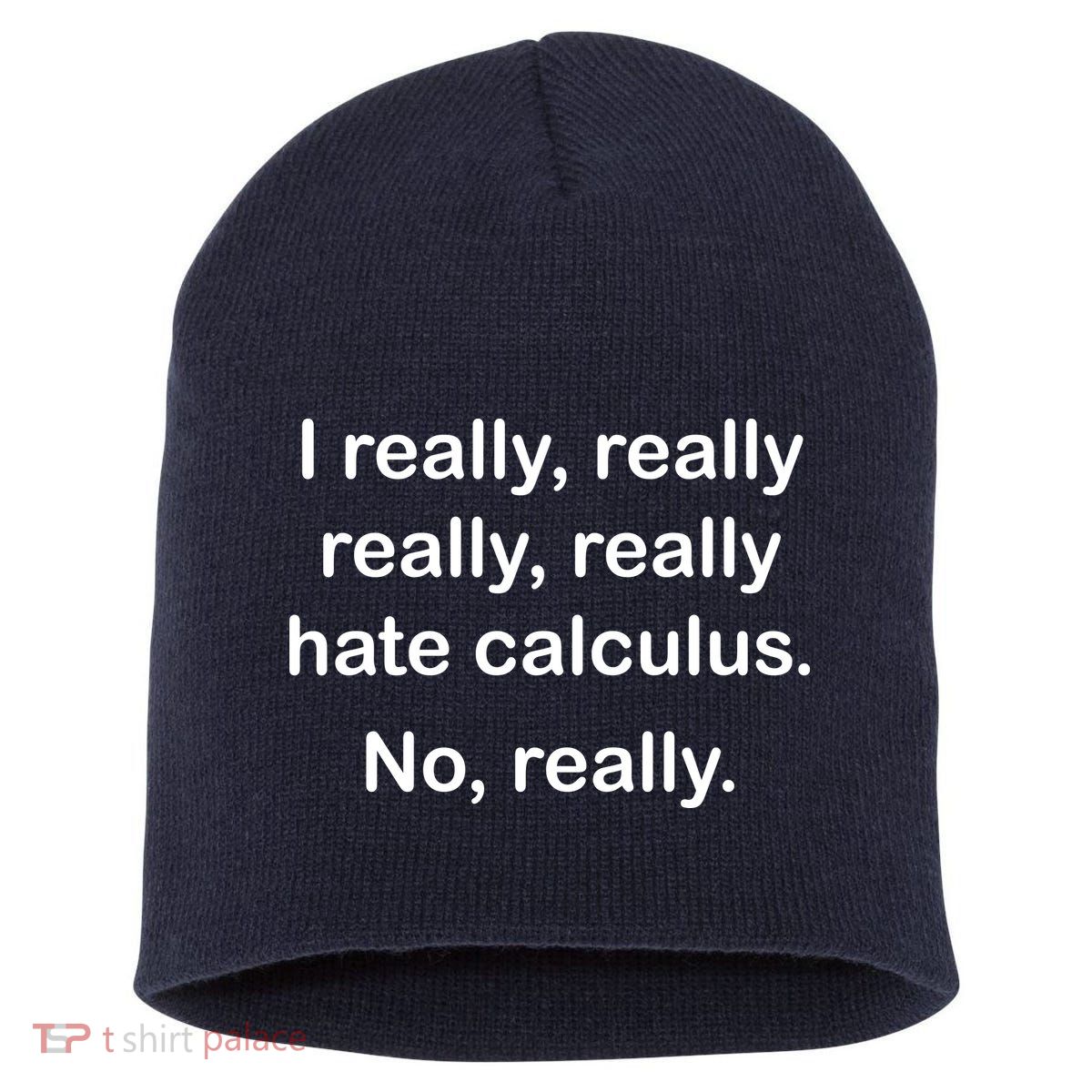 I Really Hate Calculus Short Acrylic Beanie