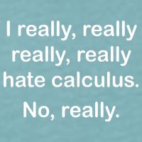 I Really Hate Calculus Sueded Cloud Jersey T-Shirt