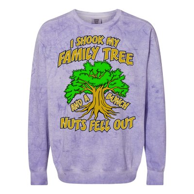 I Shook My Family Tree A Bunch of Nuts Fell Out Colorblast Crewneck Sweatshirt