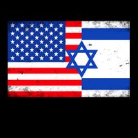 I Stand With Israel US Flags United Distressed 16oz Travel Tumbler