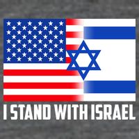 I Stand With Israel USA Flags United Together 7 Panel Mesh Trucker Snapback Hat