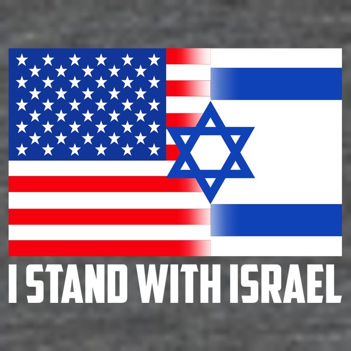 I Stand With Israel USA Flags United Together 7 Panel Mesh Trucker Snapback Hat