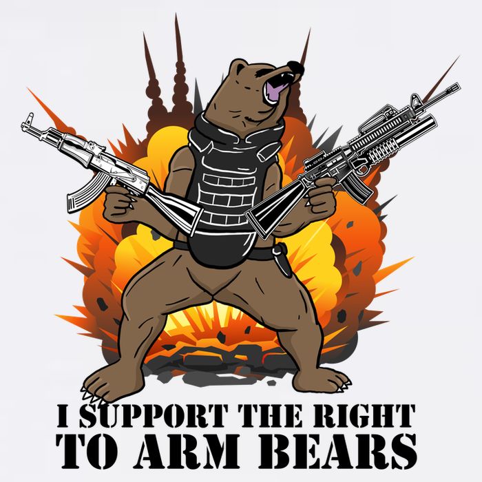 I Support The Right To Arm Bears Garment-Dyed Sweatshirt