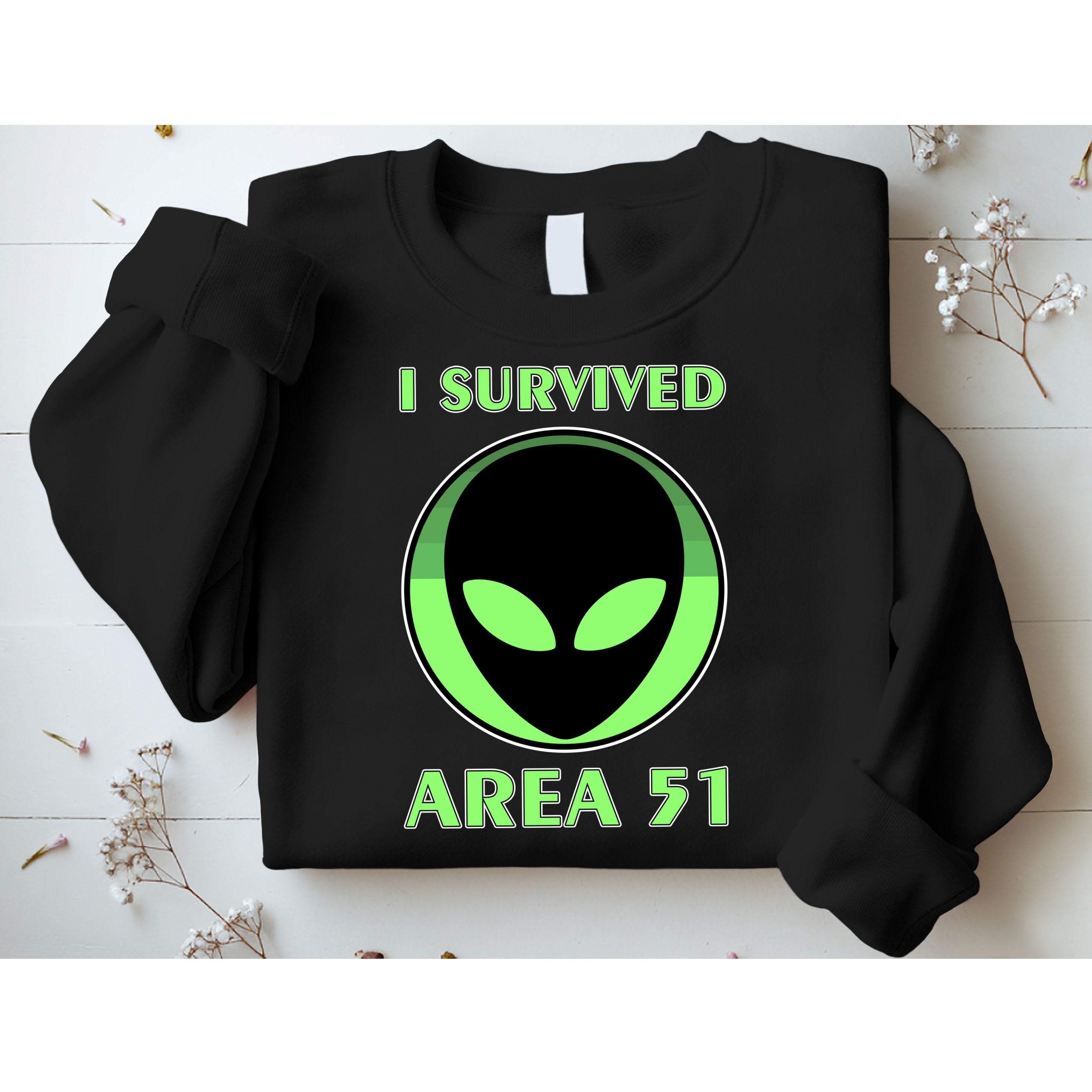 I Survived Area 51 Sweatshirt