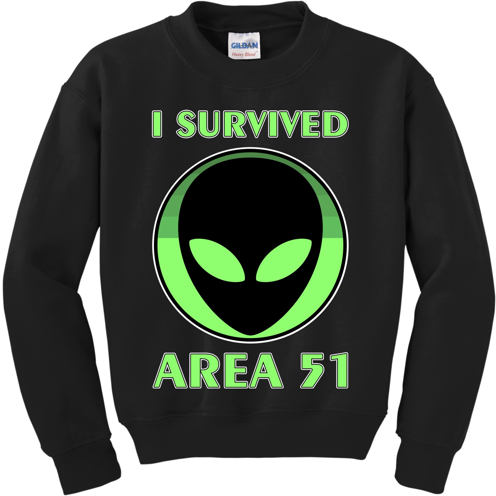 I Survived Area 51 Kids Sweatshirt