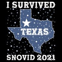 I Survived Snovid 2021Texas Snowstorm Cooling Performance Crew T-Shirt