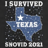 I Survived Snovid 2021Texas Snowstorm 11oz C Handle Ceramic Mug
